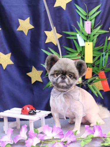 20230723リムルくん